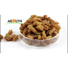 AGOLYN XinJiang Dried Bulk Grapes Sweet Golden Raisins Kismis